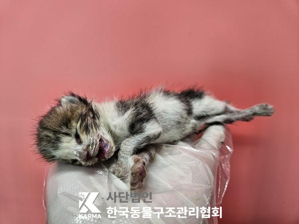 종료(자연사) 한국…